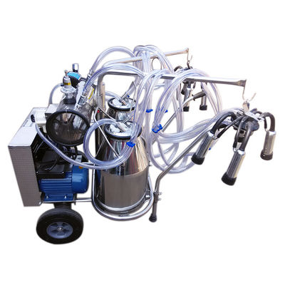 इलेक्ट्रिक मोटर के साथ गैस स्पंदन 110V गाय मिल्किंग मशीन