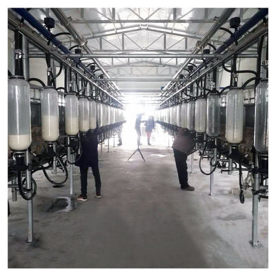 380v 7.5kw बकरी फार्म के लिए हेरिंगबोन मिल्किंग पार्लर