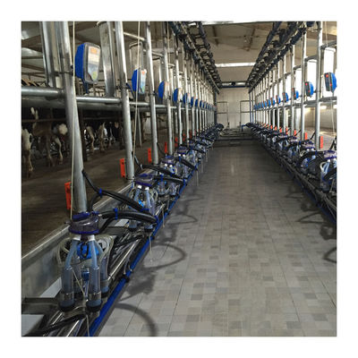 डेयरी फार्म के लिए काम कर रहे वैक्यूम 50KPa 2.2kw हेरिंगबोन मिल्किंग मशीन