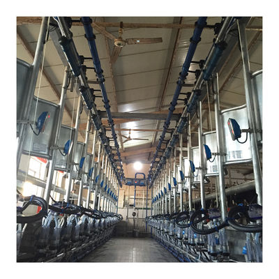 डेयरी फार्म के लिए काम कर रहे वैक्यूम 50KPa 2.2kw हेरिंगबोन मिल्किंग मशीन