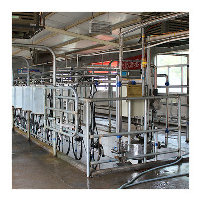 गाय मिल्किंग के लिए बिग 110v 20 स्टाल हेरिंगबोन मिल्क पार्लर