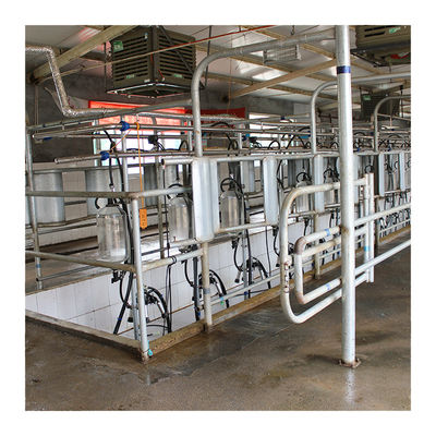 गाय मिल्किंग के लिए बिग 110v 20 स्टाल हेरिंगबोन मिल्क पार्लर