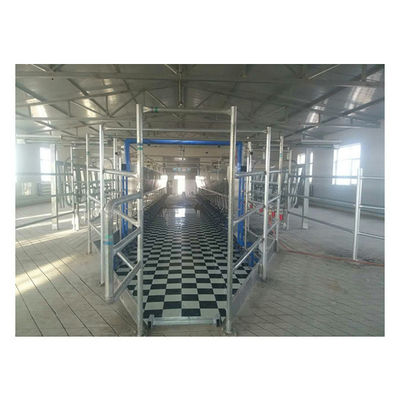 11kw वैक्यूम 3800L समानांतर पार्लर मिल्किंग सिस्टम 128 गाय प्रति घंटे