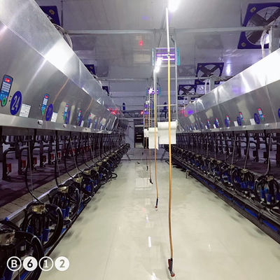 11kw वैक्यूम 3800L समानांतर पार्लर मिल्किंग सिस्टम 128 गाय प्रति घंटे