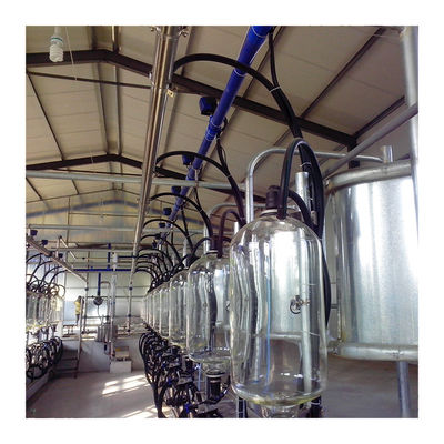 380v 7.5KW स्वचालित मिल्किंग पार्लर हेरिंगबोन प्रकार