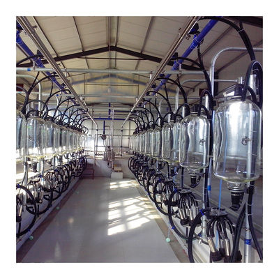 380v 7.5KW स्वचालित मिल्किंग पार्लर हेरिंगबोन प्रकार